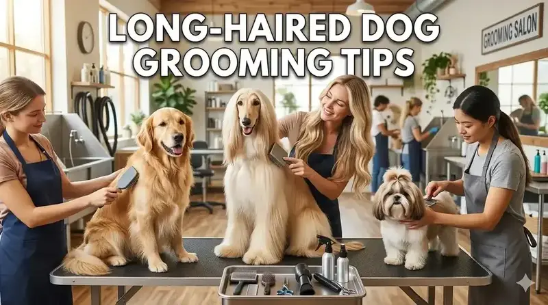 Best Grooming Tips for Long-Haired Dogs: 2026 Guide