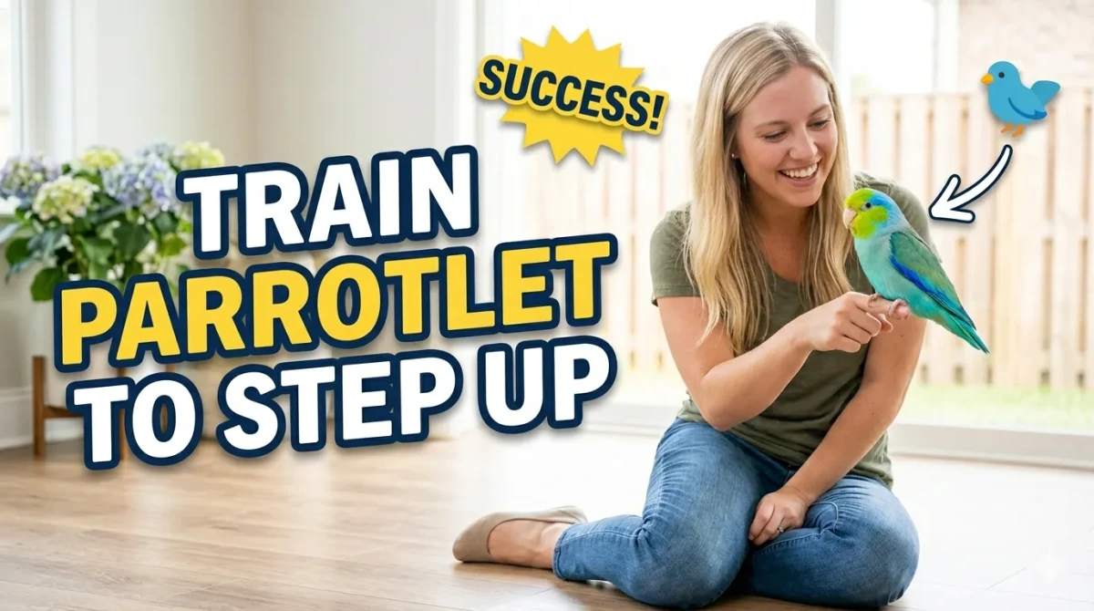 Train Parrotlet to Step Up: Expert Step-by-Step Guide