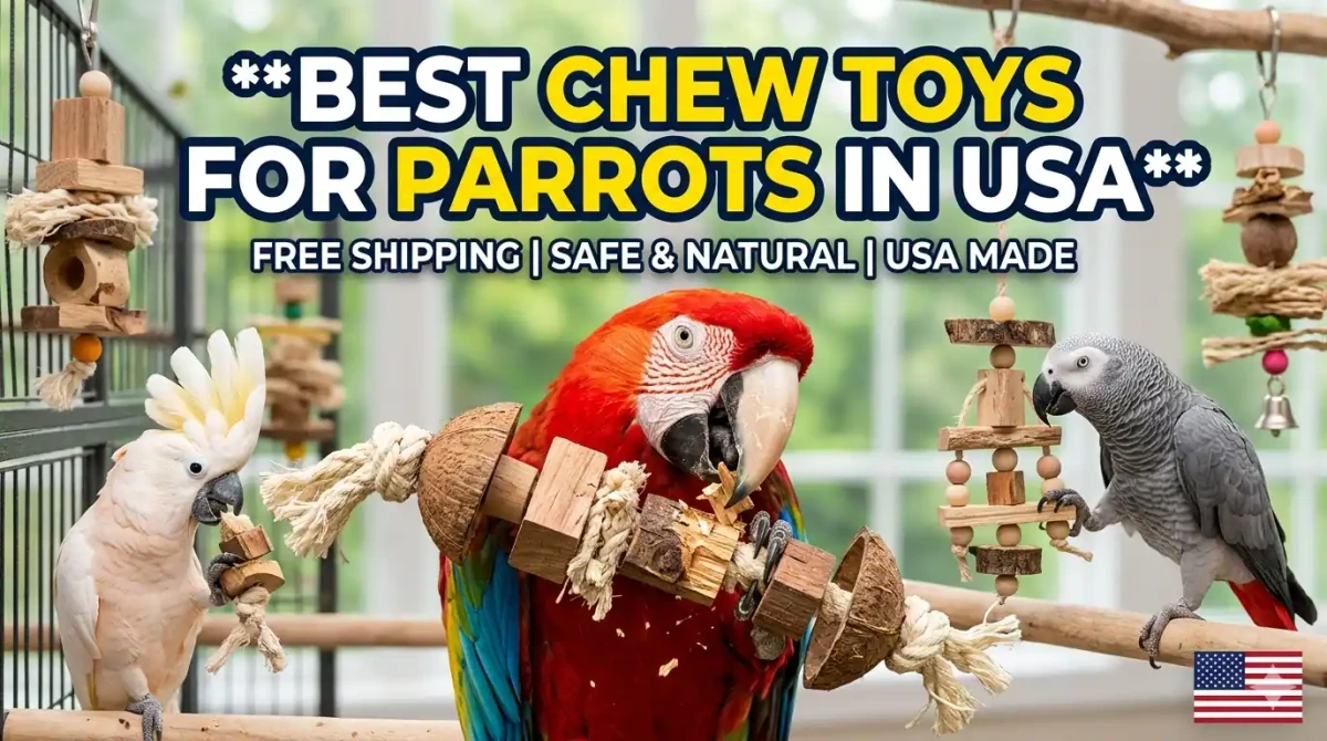 Best Chew Toys for Parrots in USA: Expert Safety and Selection Guide