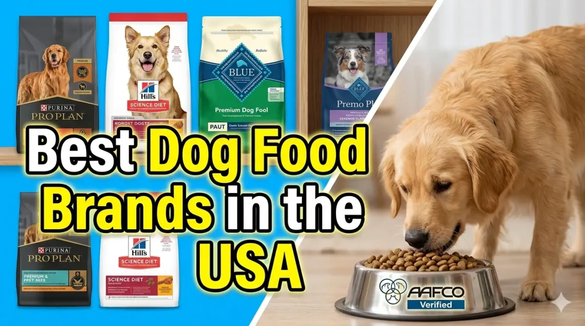 Pet Nest Lab - Best Dog Food Brands in the USA- Complete Guide to Purina Pro Plan Hills Blue Buffalo and More